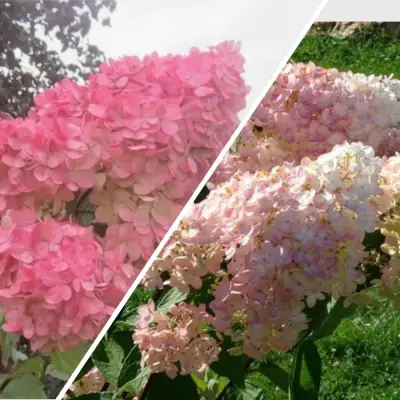 Комплект МНОГОГРАННОСТЬ в Витебске