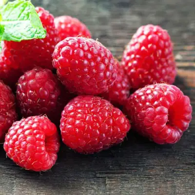 Малина ЭРИКА в Витебске