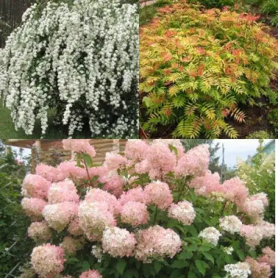 Комплект ФЕЙЕРВЕРК ЛЕТА в Витебске