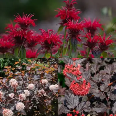 Комплект ОГНЕННЫЙ МИКС в Витебске