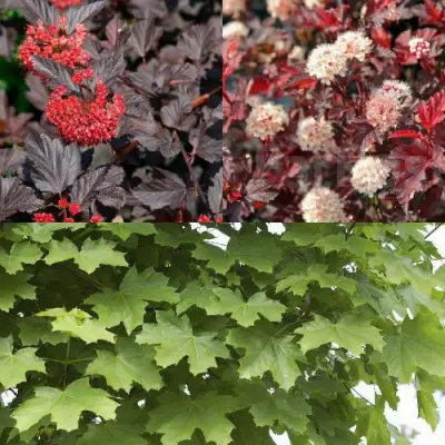 Комплект ОСЕННИЙ КОСТЕР в Витебске