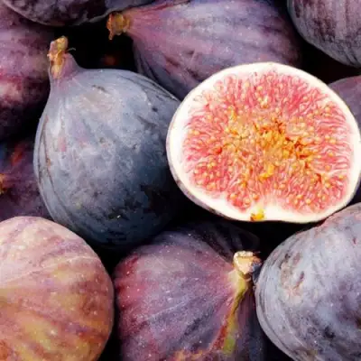 Инжир МУАССОН в Витебске