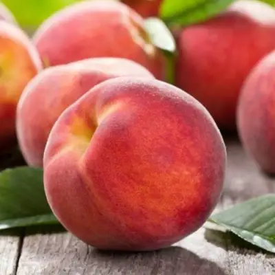 Персик МАЙСКИЙ ЦВЕТОК в Витебске