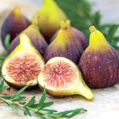 Инжир НИКИТСКИЙ в Витебске