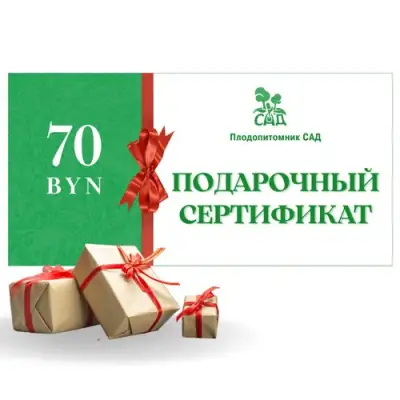 Подарочный сертификат на  70 BYN в Витебске