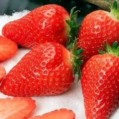 Клубника АЛЬБА  Клубника АЛЬБА в Витебске