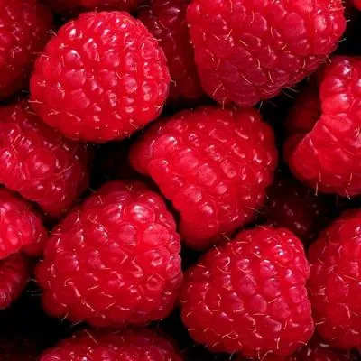 Малина в Витебске