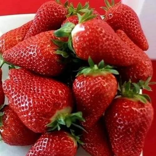 Клубника БРИЛЛА  Клубника БРИЛЛА в Витебске