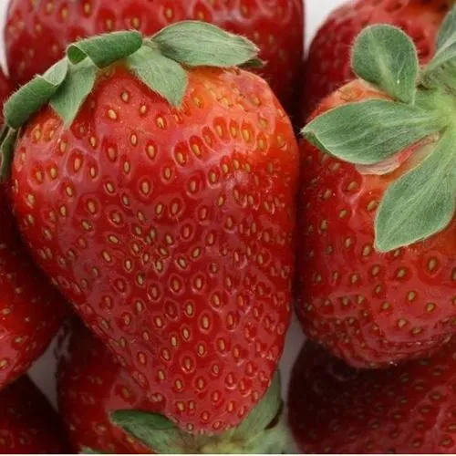 Клубника ФЛАМИНИЯ  Клубника ФЛАМИНИЯ в Витебске