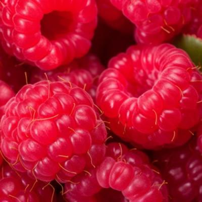 Красная в Витебске