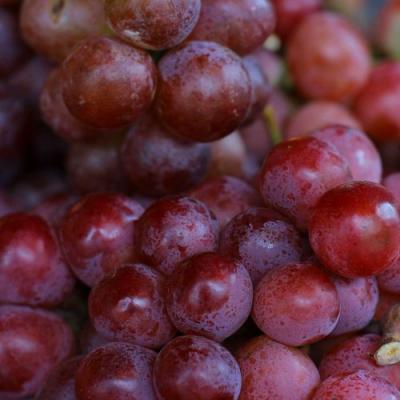 Красный в Витебске