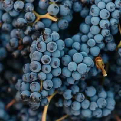 Технический в Витебске