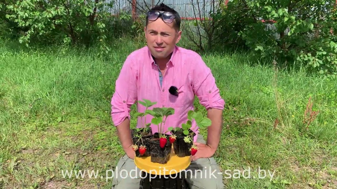 Превью видео