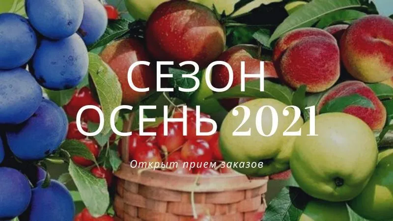 Открыт прием заказов на осень 2021